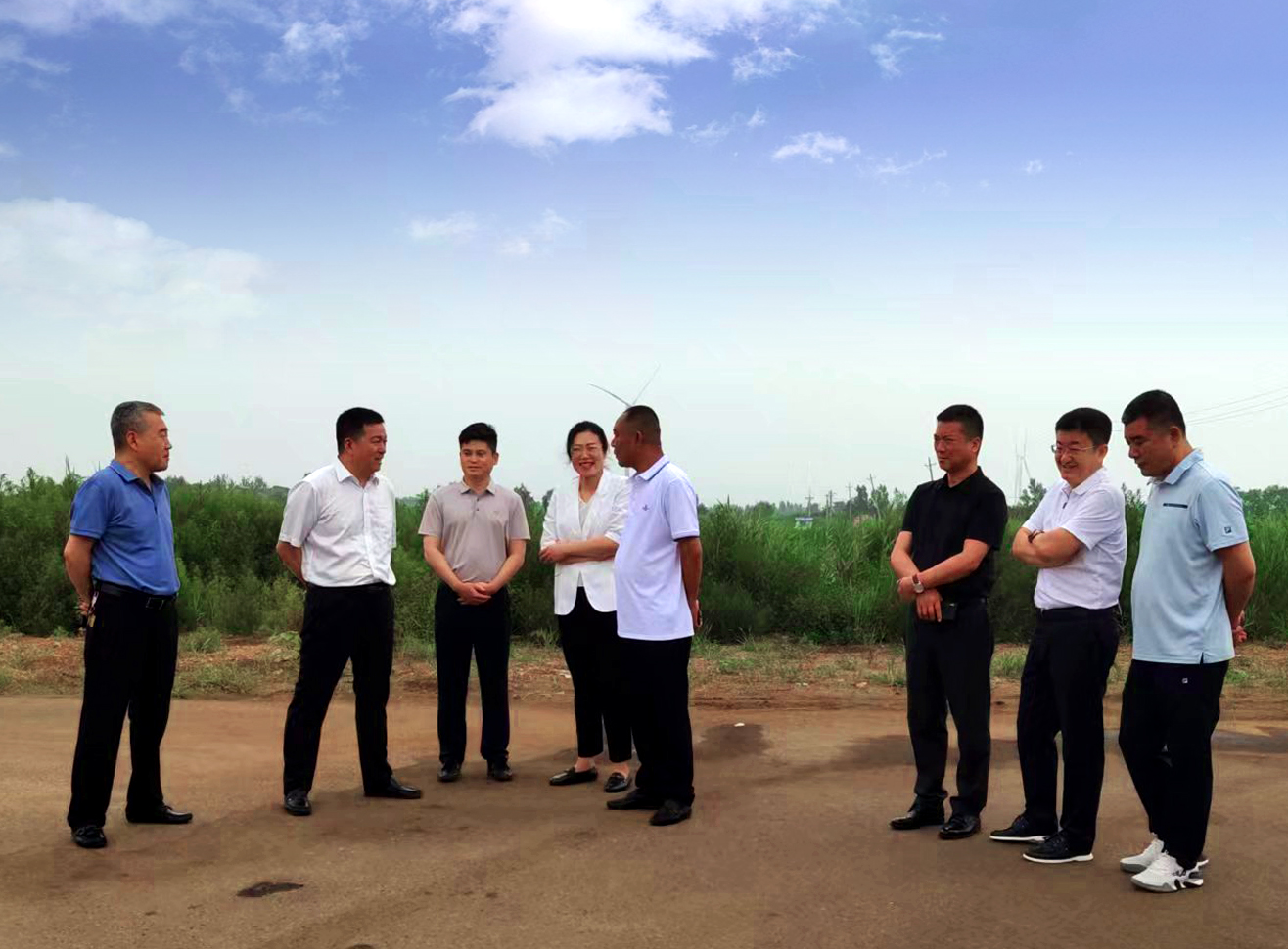 Vice Mayor of Yingkou City, He Qingwei, and his delegation visited enterprises for research